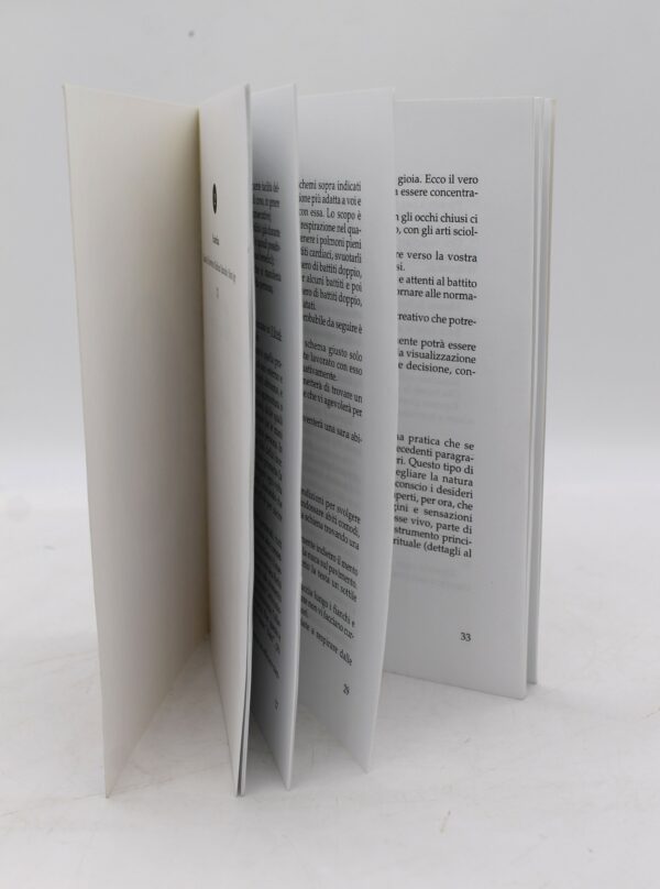 Libro Il Reiki Aurico R. Fabbroni - Image 4