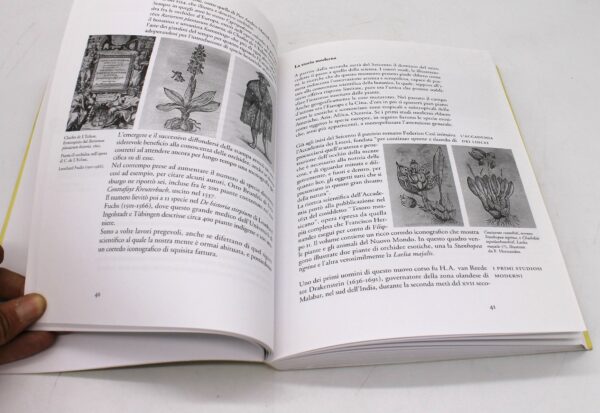 Libro "Il fiore degli dei. L'orchidea dal mito alla storia" di Luigi Berliocchi - Image 3