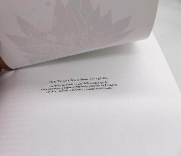 Libro "Il fiore degli dei. L'orchidea dal mito alla storia" di Luigi Berliocchi - Image 5