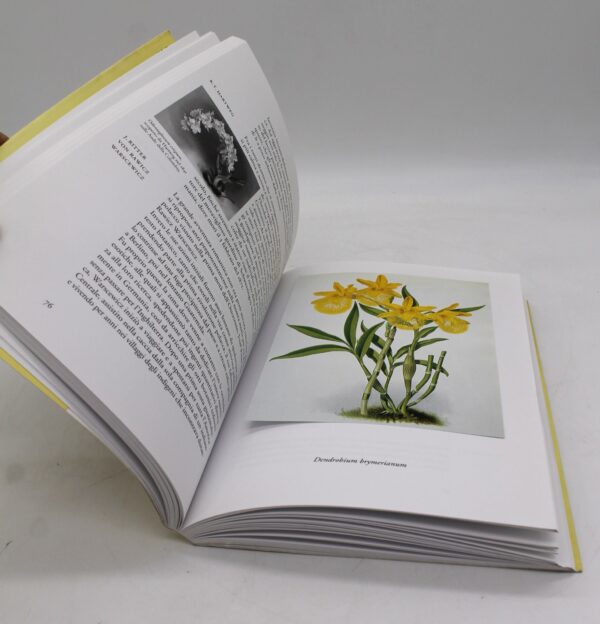 Libro "Il fiore degli dei. L'orchidea dal mito alla storia" di Luigi Berliocchi - Image 6