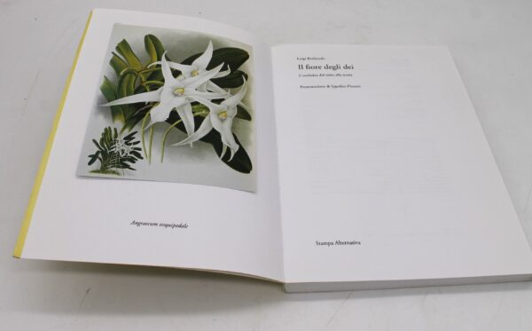Libro "Il fiore degli dei. L'orchidea dal mito alla storia" di Luigi Berliocchi - Image 7
