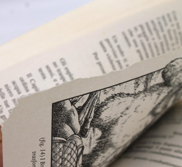 Libro Game "lupo solitario 28 - La vendetta di Sejanoz" - Image 7
