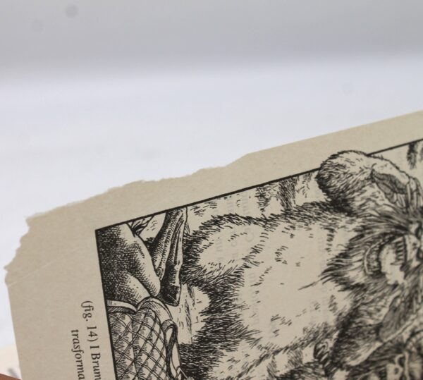 Libro Game "lupo solitario 28 - La vendetta di Sejanoz" - Image 8