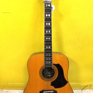 Chitarra acustica vintage Eko El Dorado 12